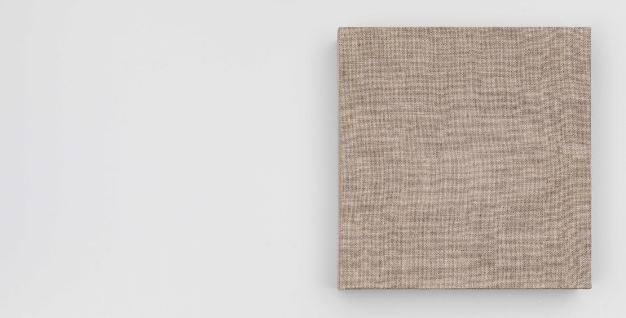 Fernanda Gomes | Seven handmade paper sculptures