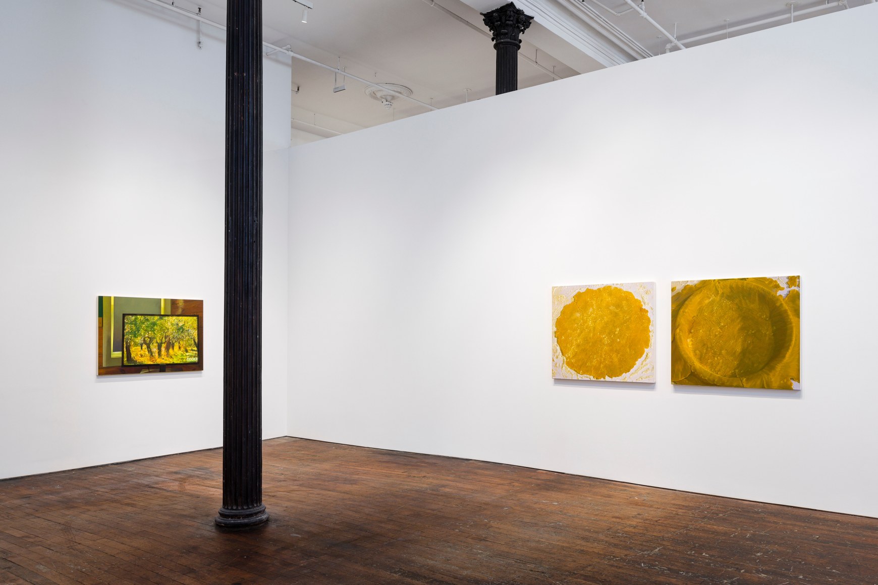 Catherine Murphy: Recent Work – installation view 2