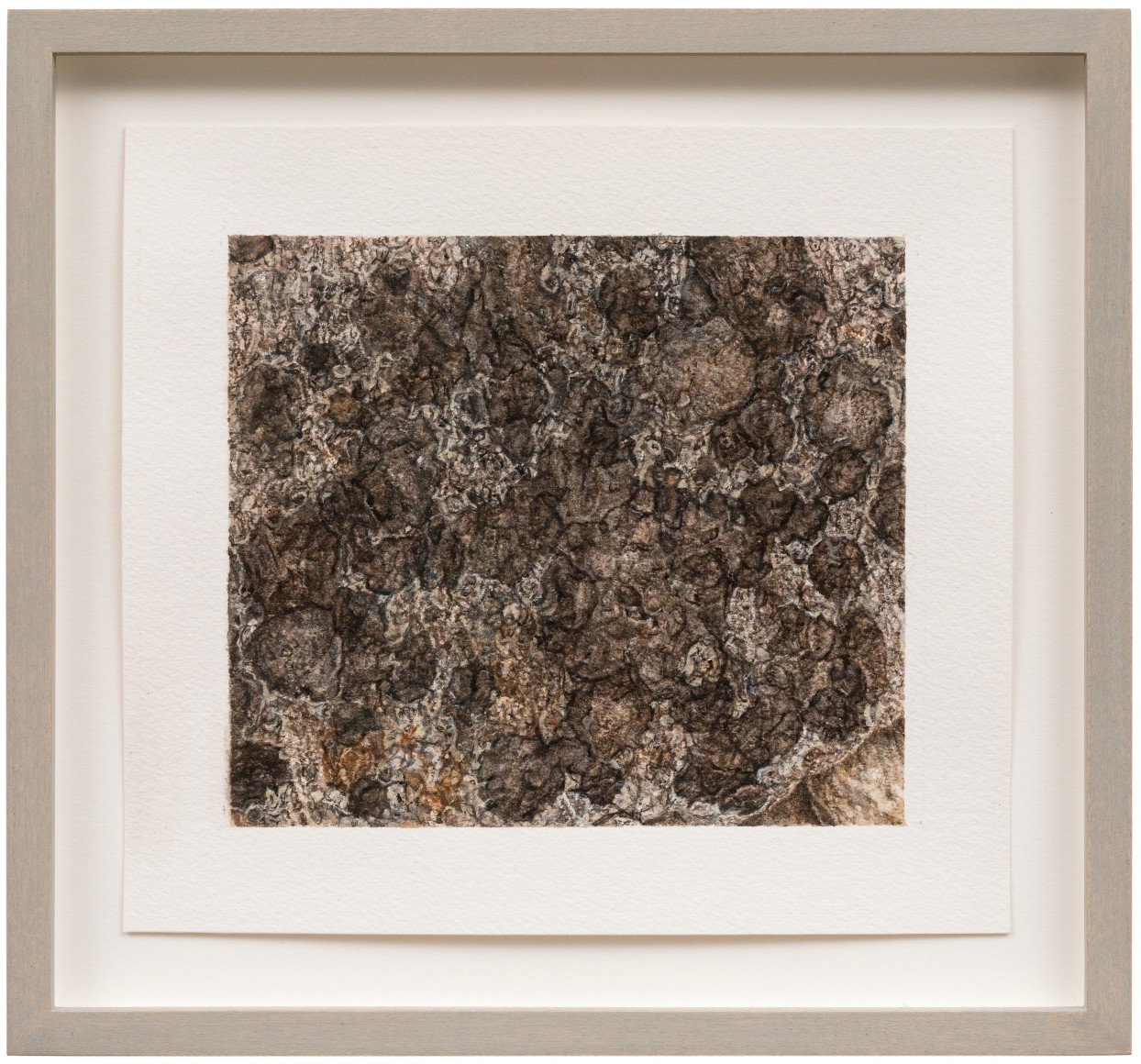 ELLEN ALTFEST, Spotted Rock