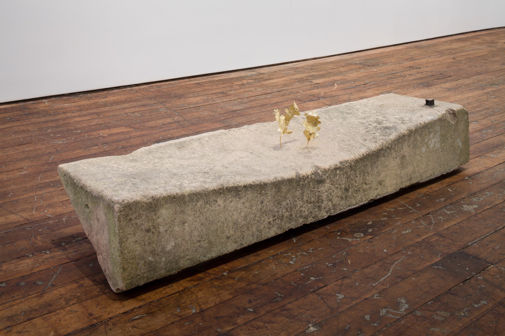 Lucy Skaer My Steps as my Terrace II