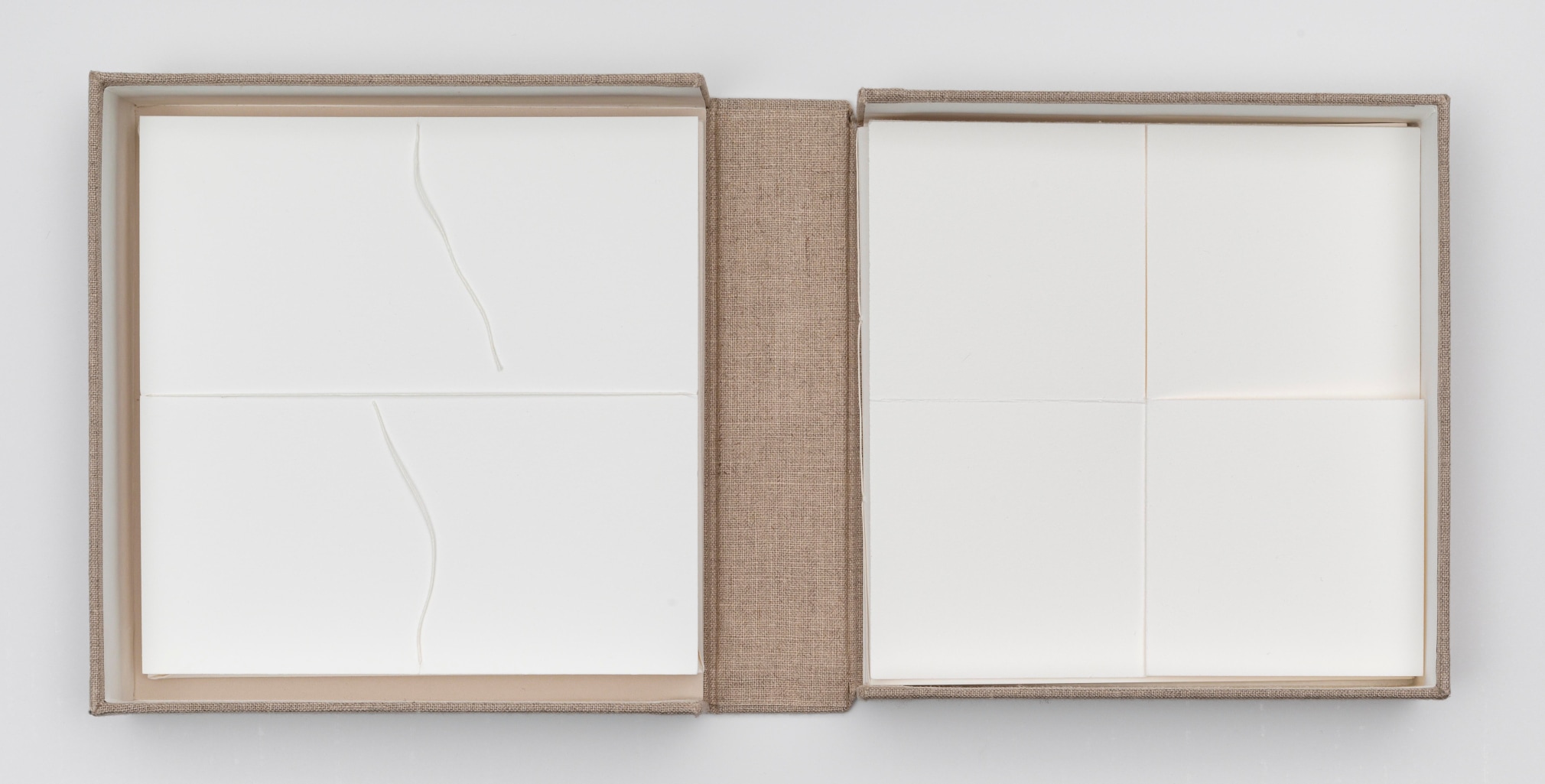 Fernanda Gomes | Seven handmade paper sculptures