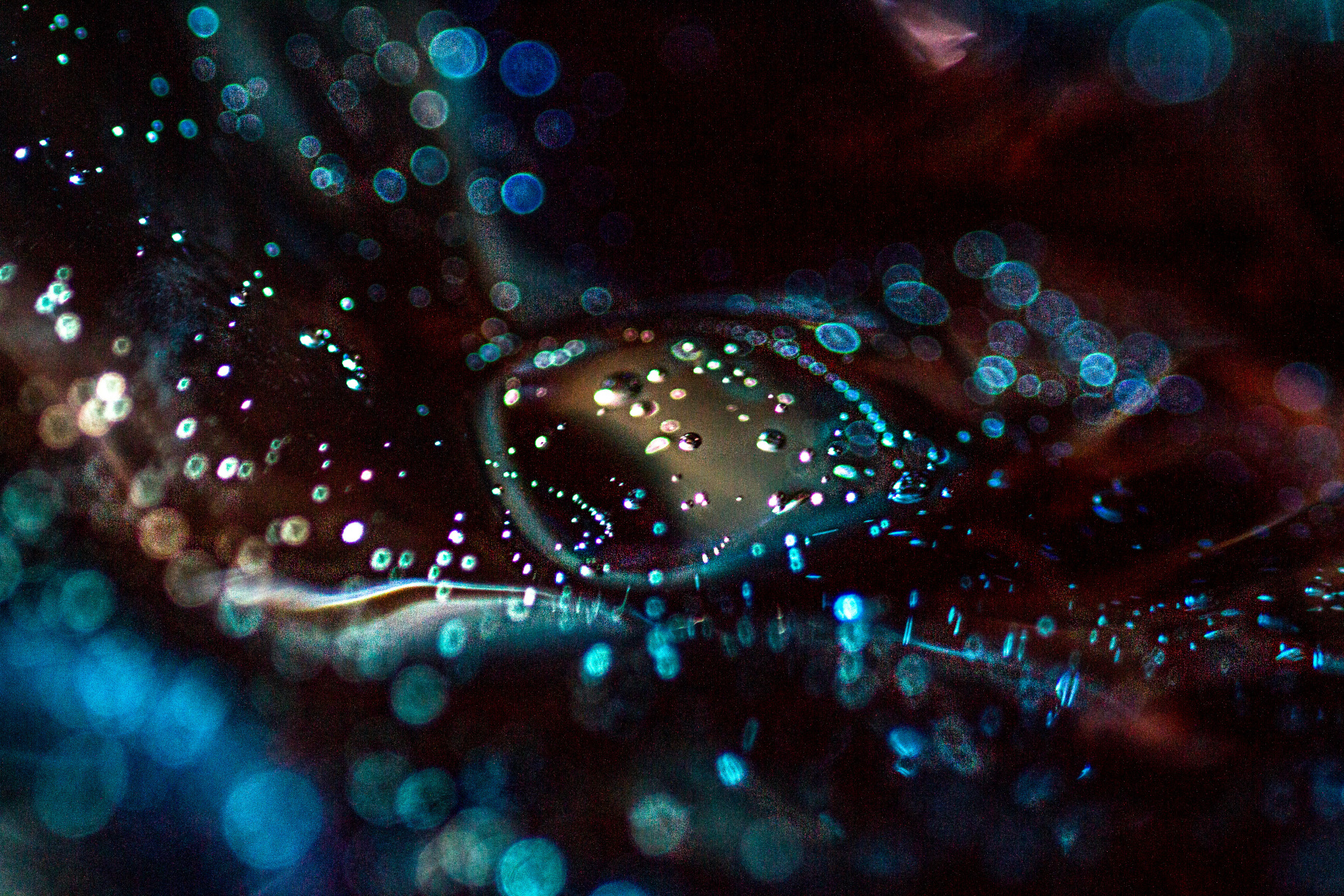 Nila Onda, Untitled Cosmo 3