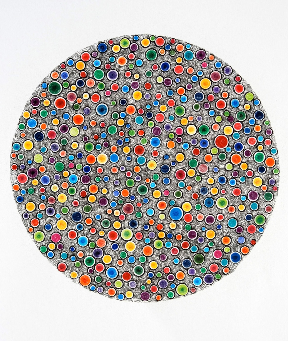 Shanthi Chandrasekar, Fields-Particles