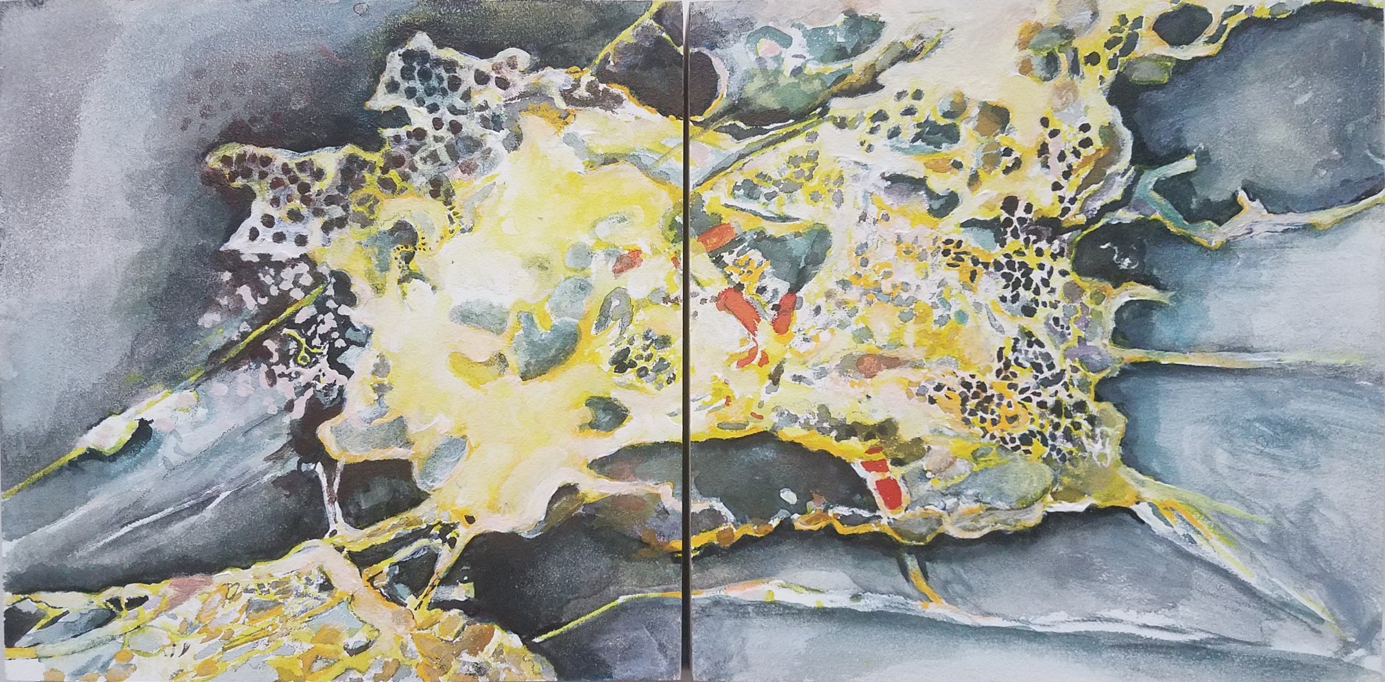 Michal Gavish, Mapping the Defenxe