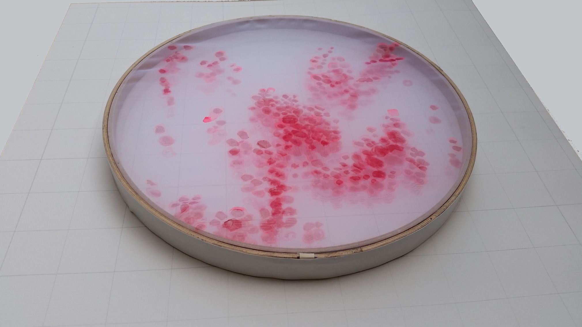 Michal Gavish, Hidden Biology