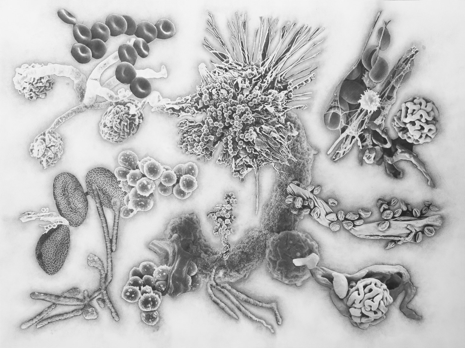 Julie Harrison, Bodies 4258 (series)