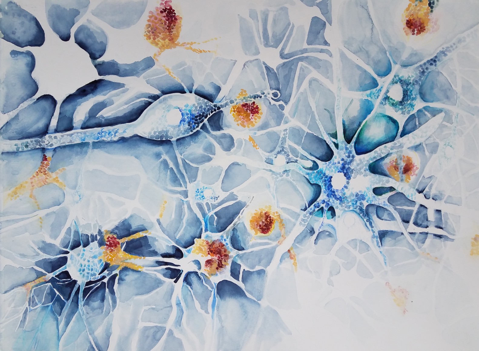 Michal Gavish, Brain Scape