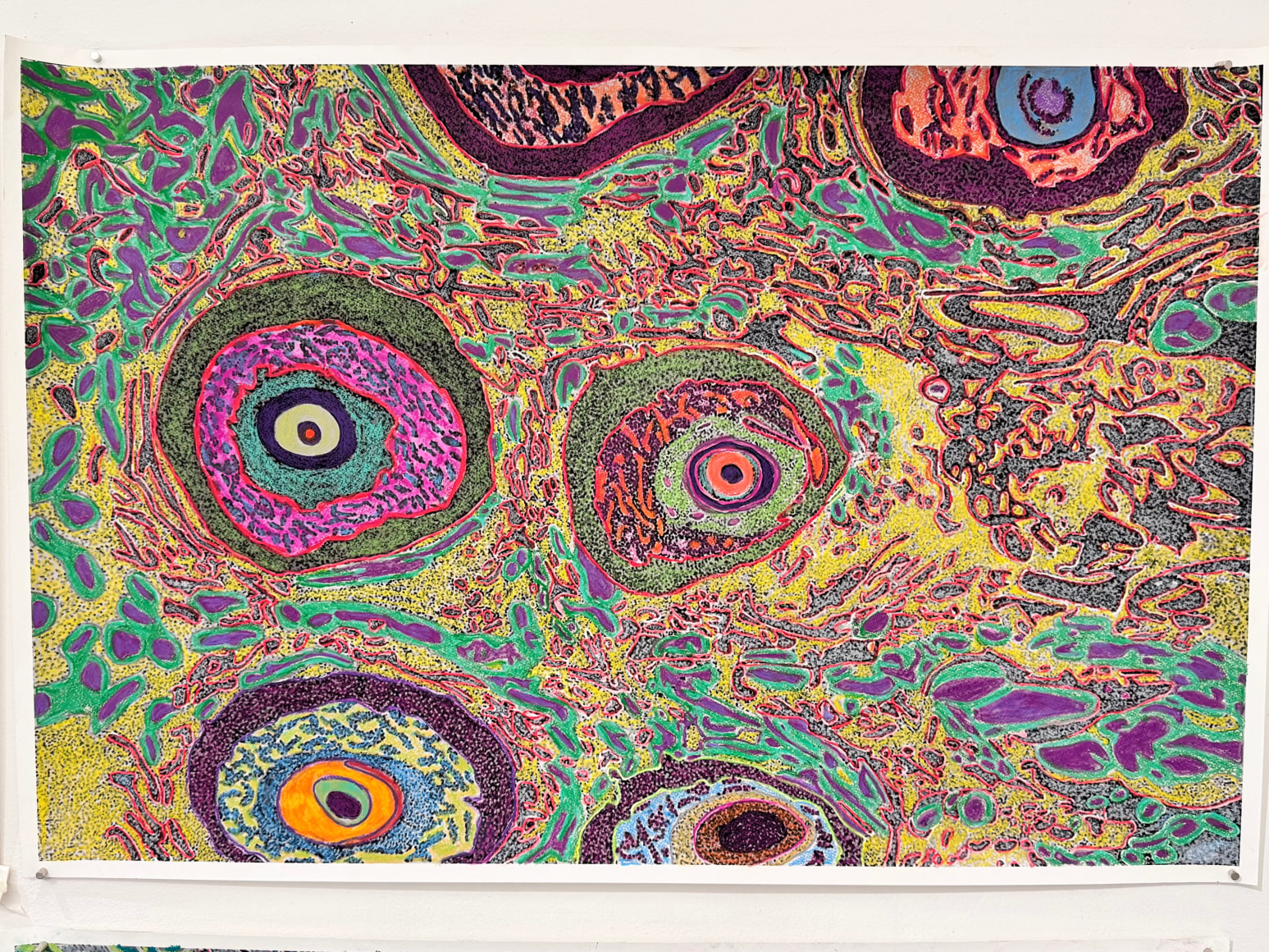 Jody Rasch, Beauty I