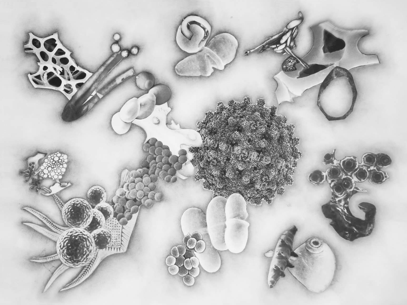 julie Harrison, Bodies 6215 (series)