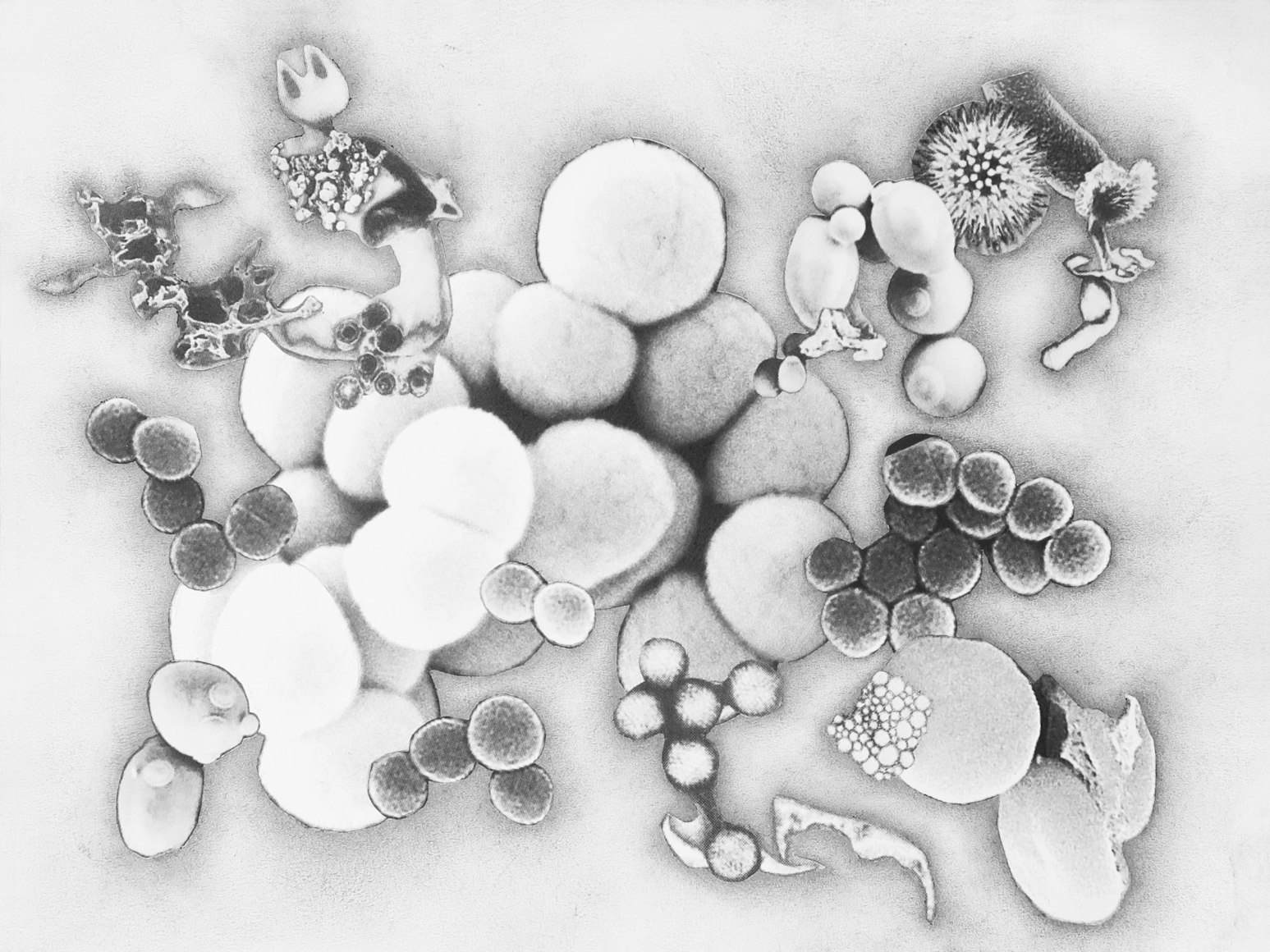 Julie Harrison, Bodies 4263 (series)