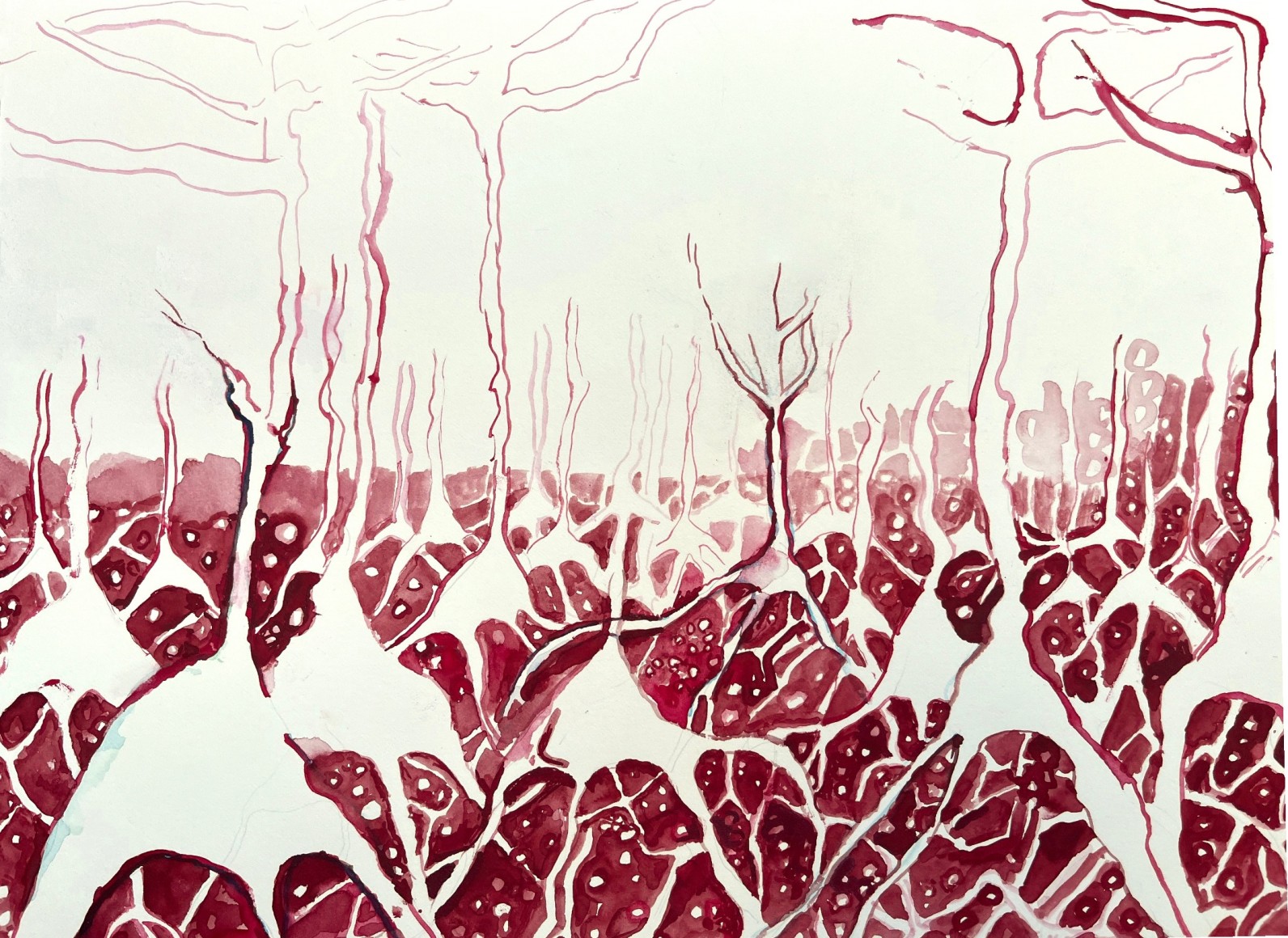 Michal Gavish, Ancient Limbs Field Guide (Pyramid Neurons)