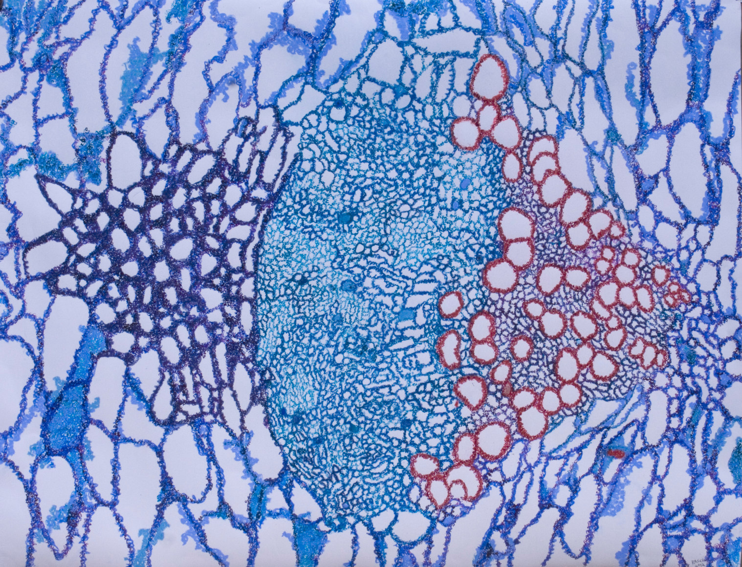 Jody Rasch, Symbiosis