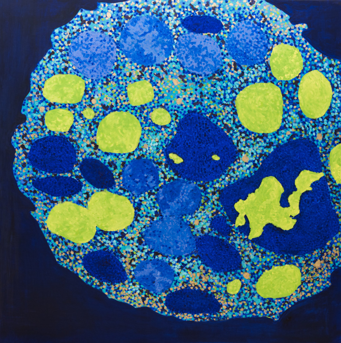 Jody Rasch, Healing - White Blood Cell