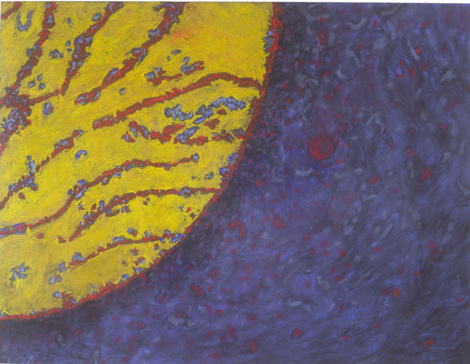 Jody Rasch, Energy - Mitochondria 3