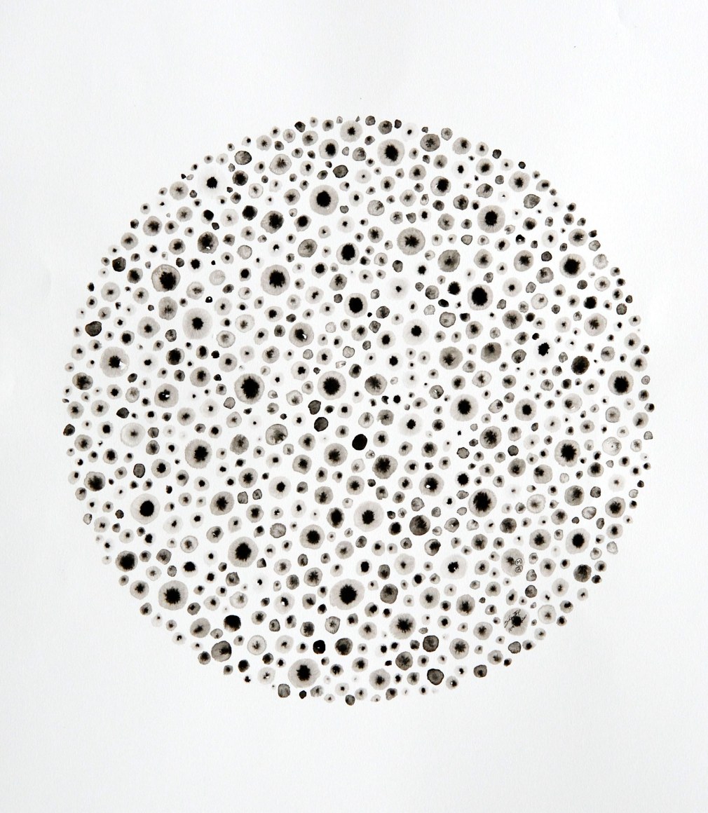Shanthi Chandrasekar, Mapping Black Holes