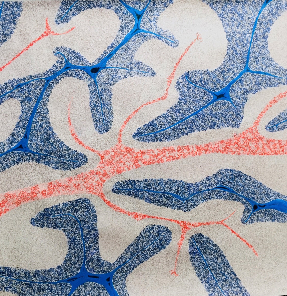 Jody Rasch, Thought - Cerebellum