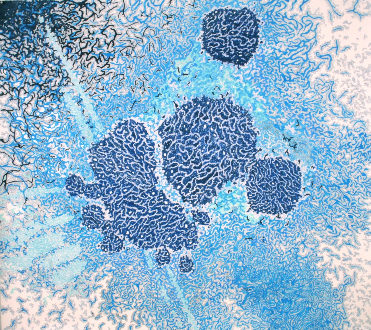 Jody Rasch, Gravity Lens