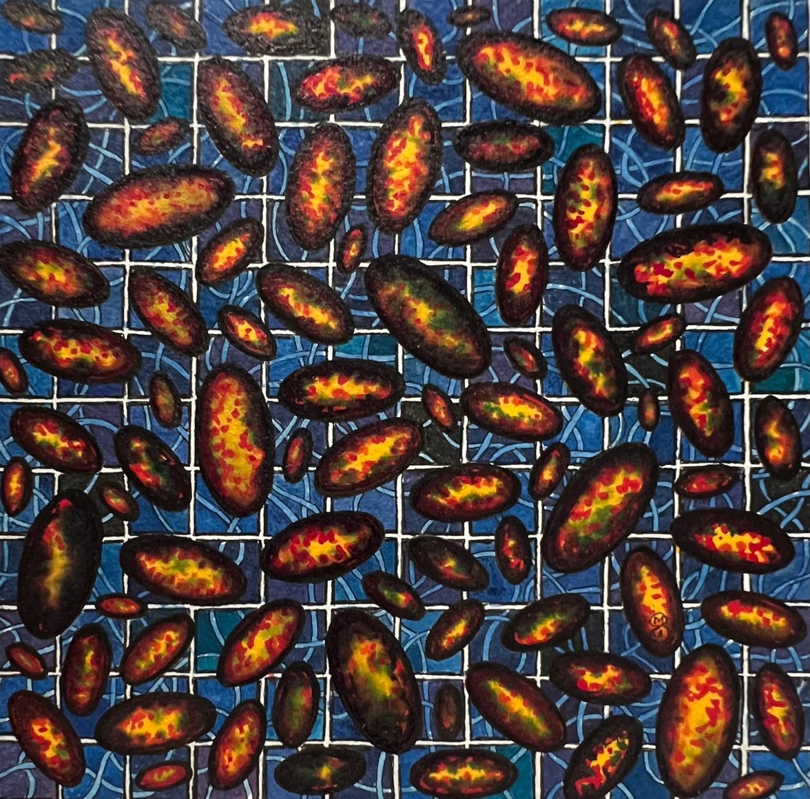 Shanthi Chandrasekar, Seed Universes - Order & Chaos