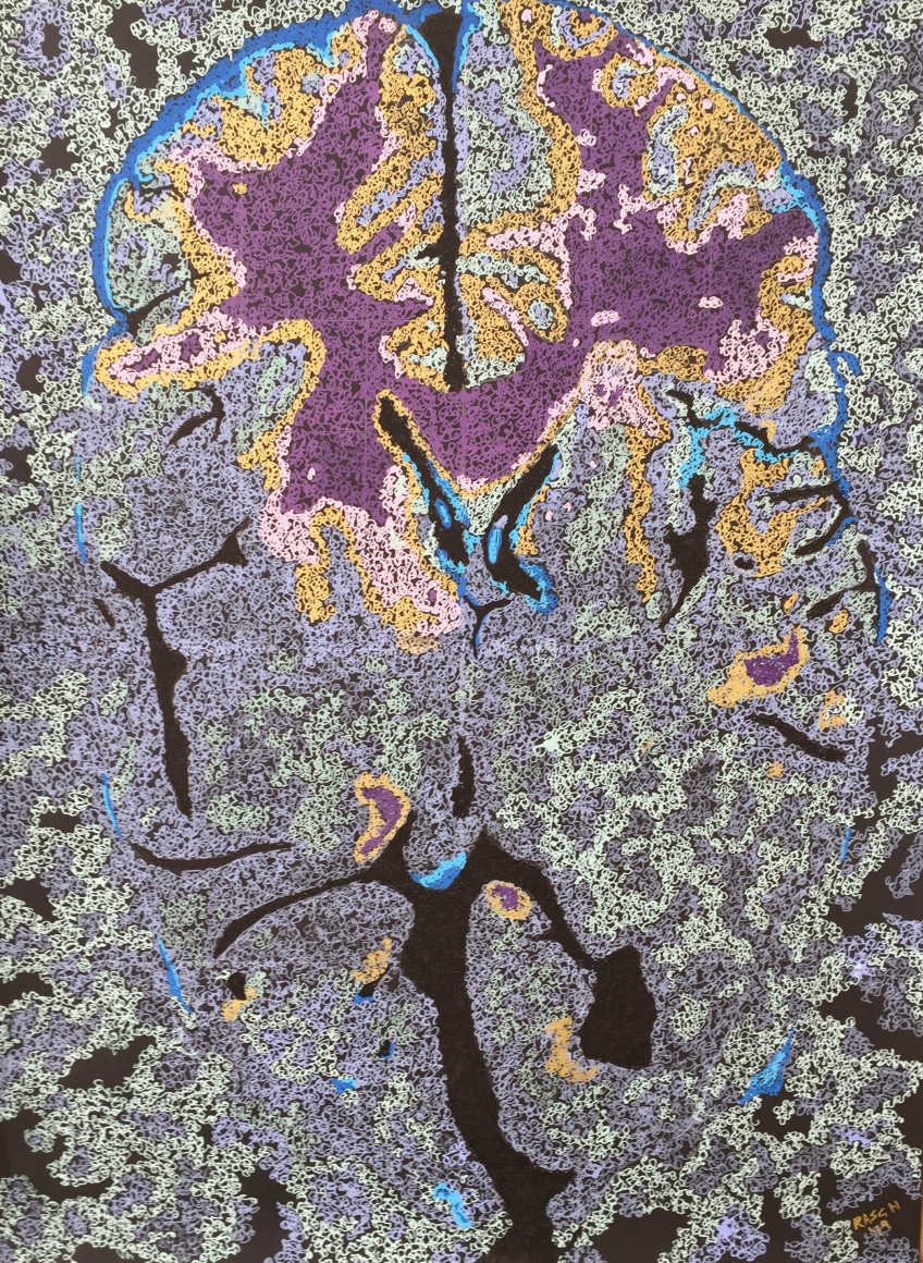 Jody Rasch, Thought-MRI