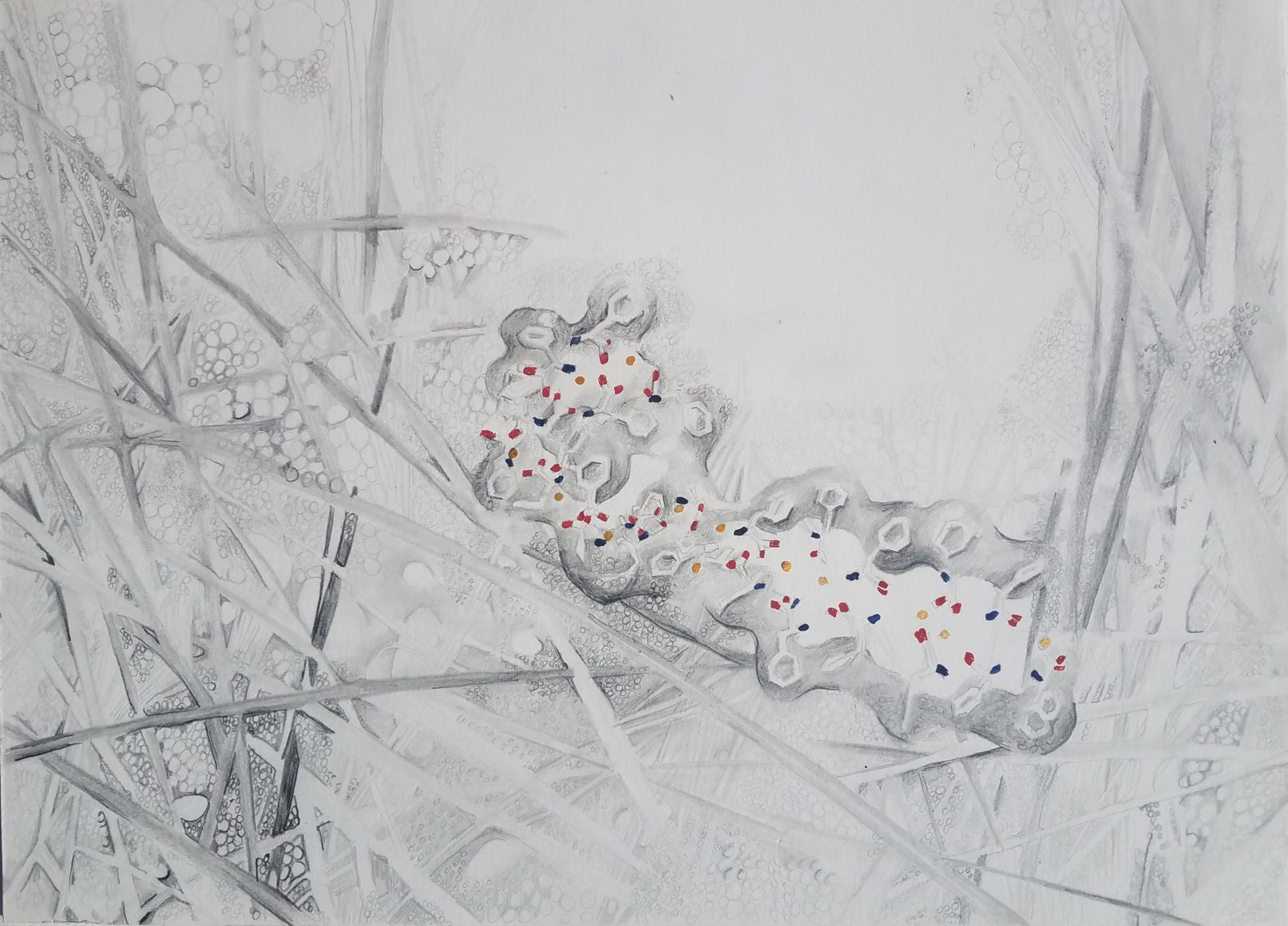 Michal Gavish, Brain Branch