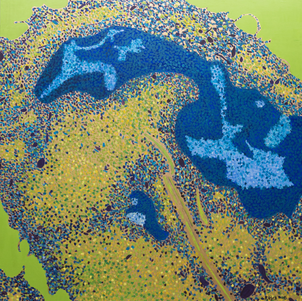 Jody Rasch, Healing - White Blood Cell 2