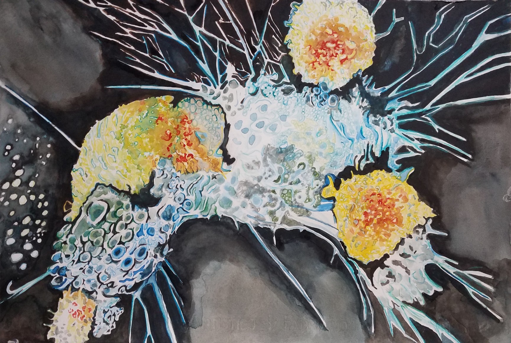 Michal Gavish, Close Up