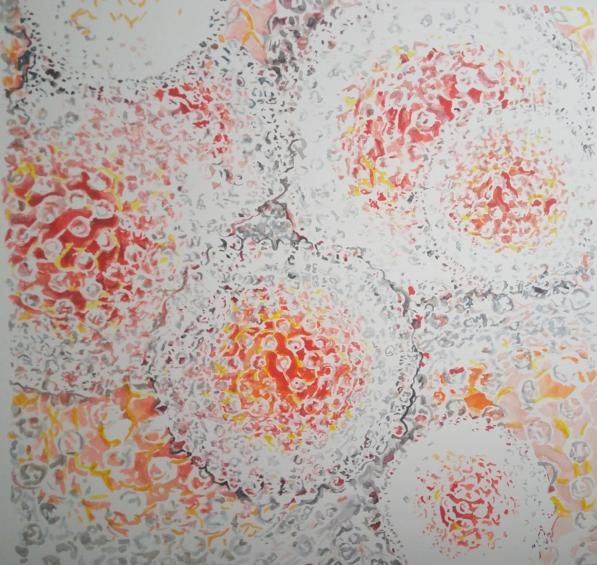 Michal Gavish, Nobel Virus