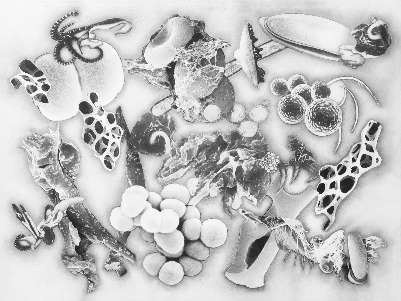 Julie Harrison, Bodies 4261 (series)