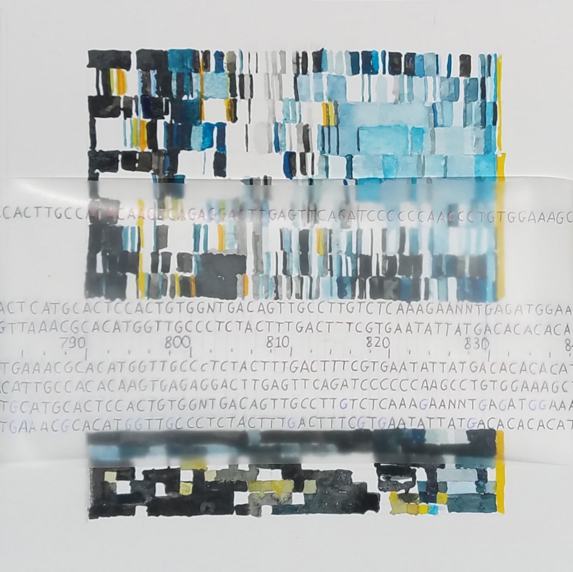 Michal Gavish, DNA Reflection Key