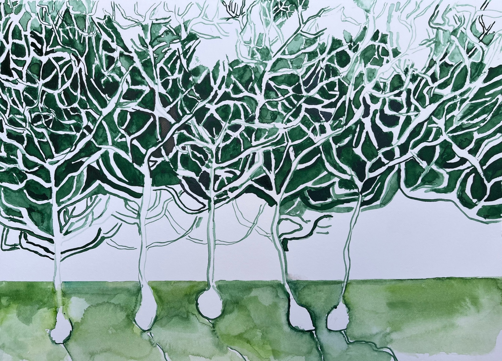 Michal Gavish, Field Guide (Purkinje Neurons)