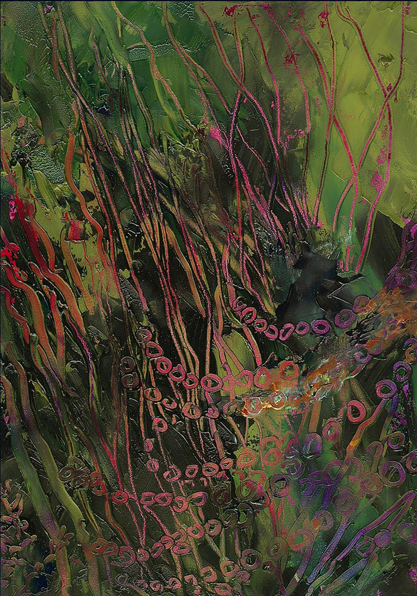 Joyce Yamada, Octopus Camo