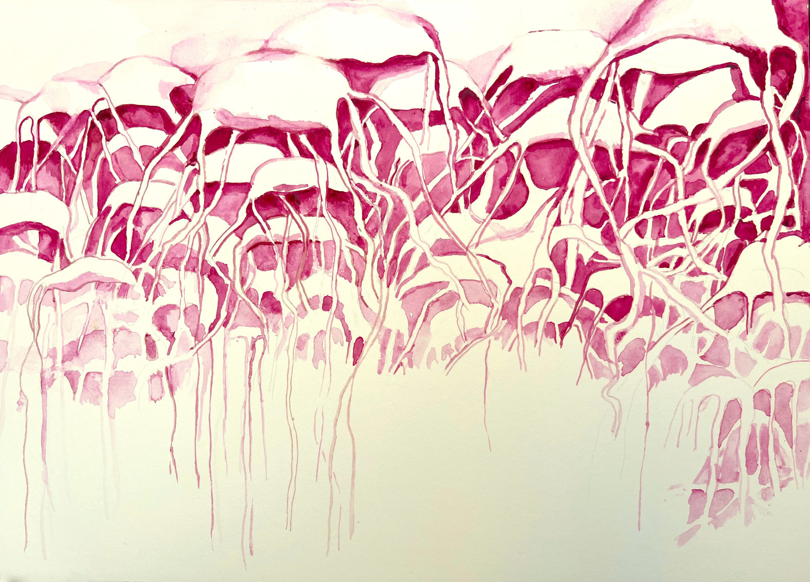 Michal Gavish, Porous Colonies Field Guide (Meduza Cells)