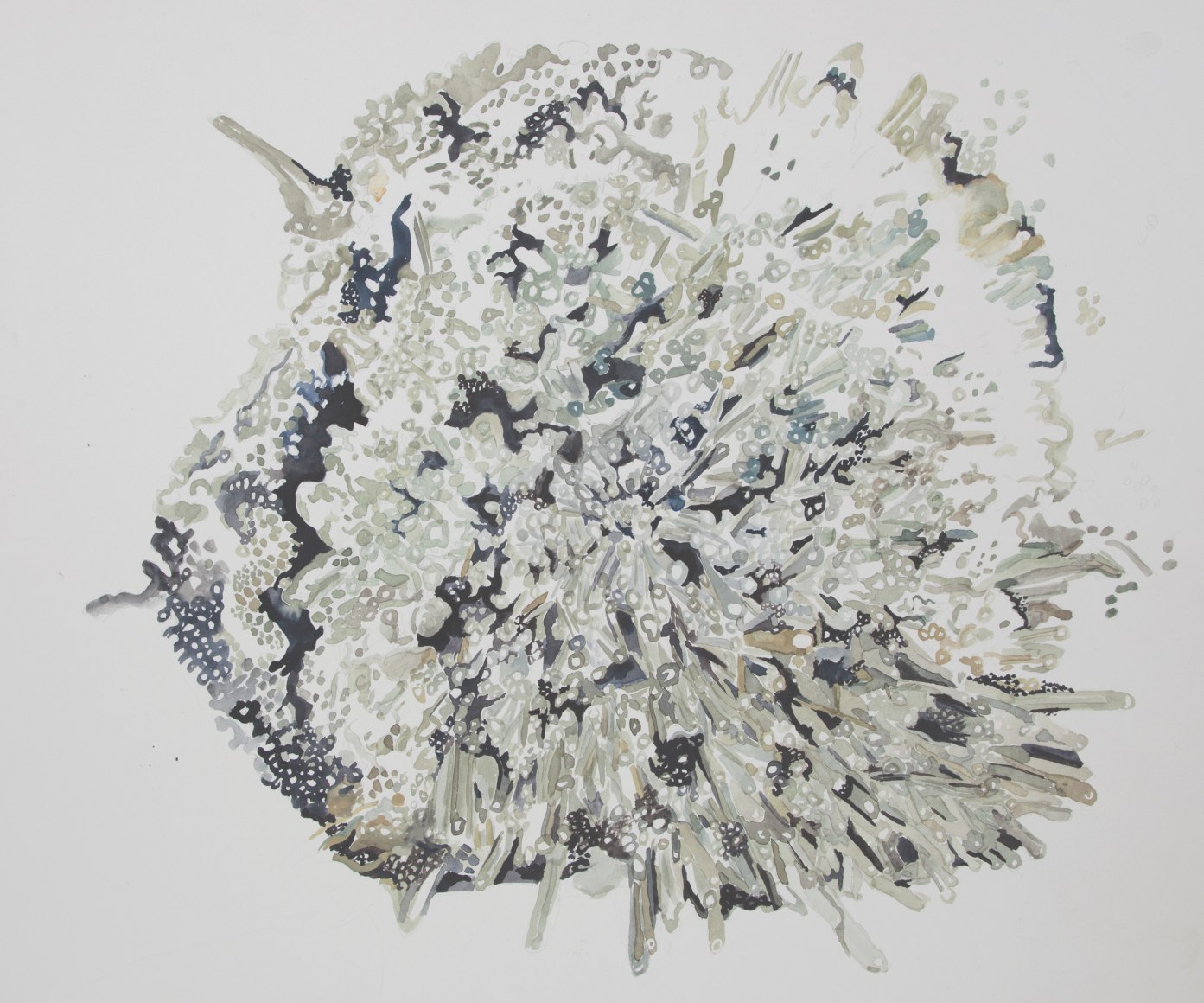 Michal Gavish, Nano Portrait Splash