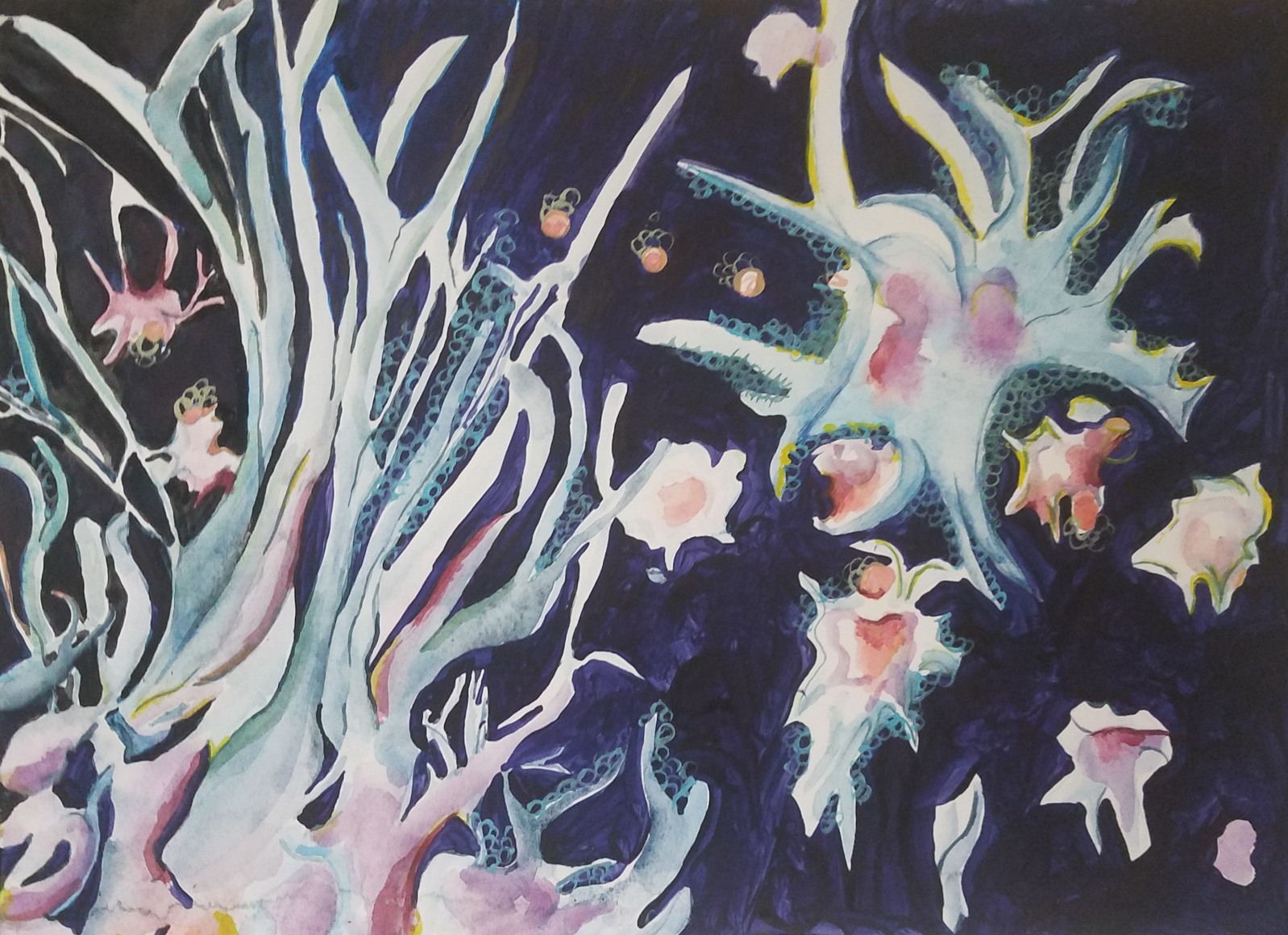 Michal Gavish, Conflict (Immune System)