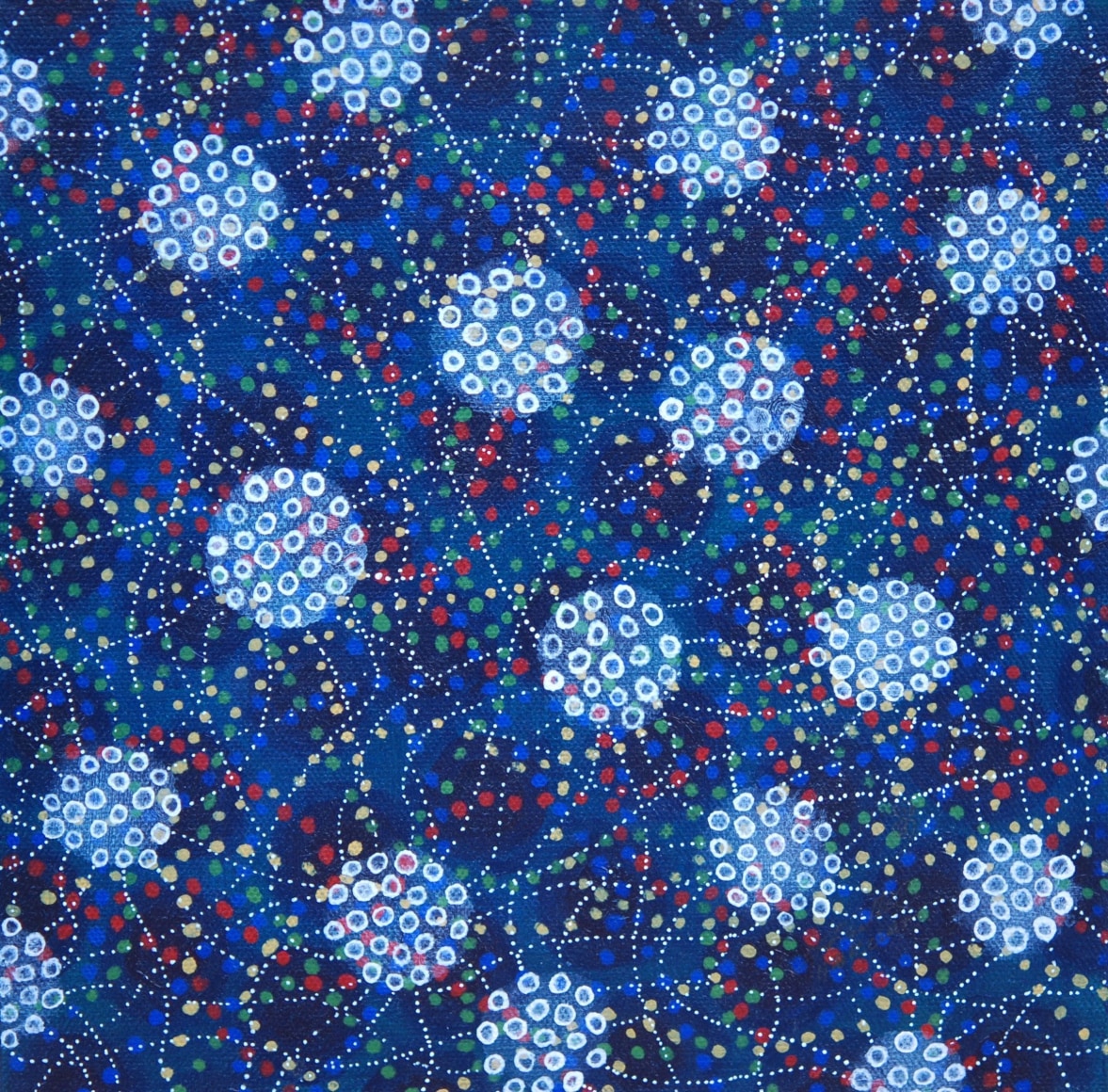 shanthi Chandrasekar, Multiverse-Fractals