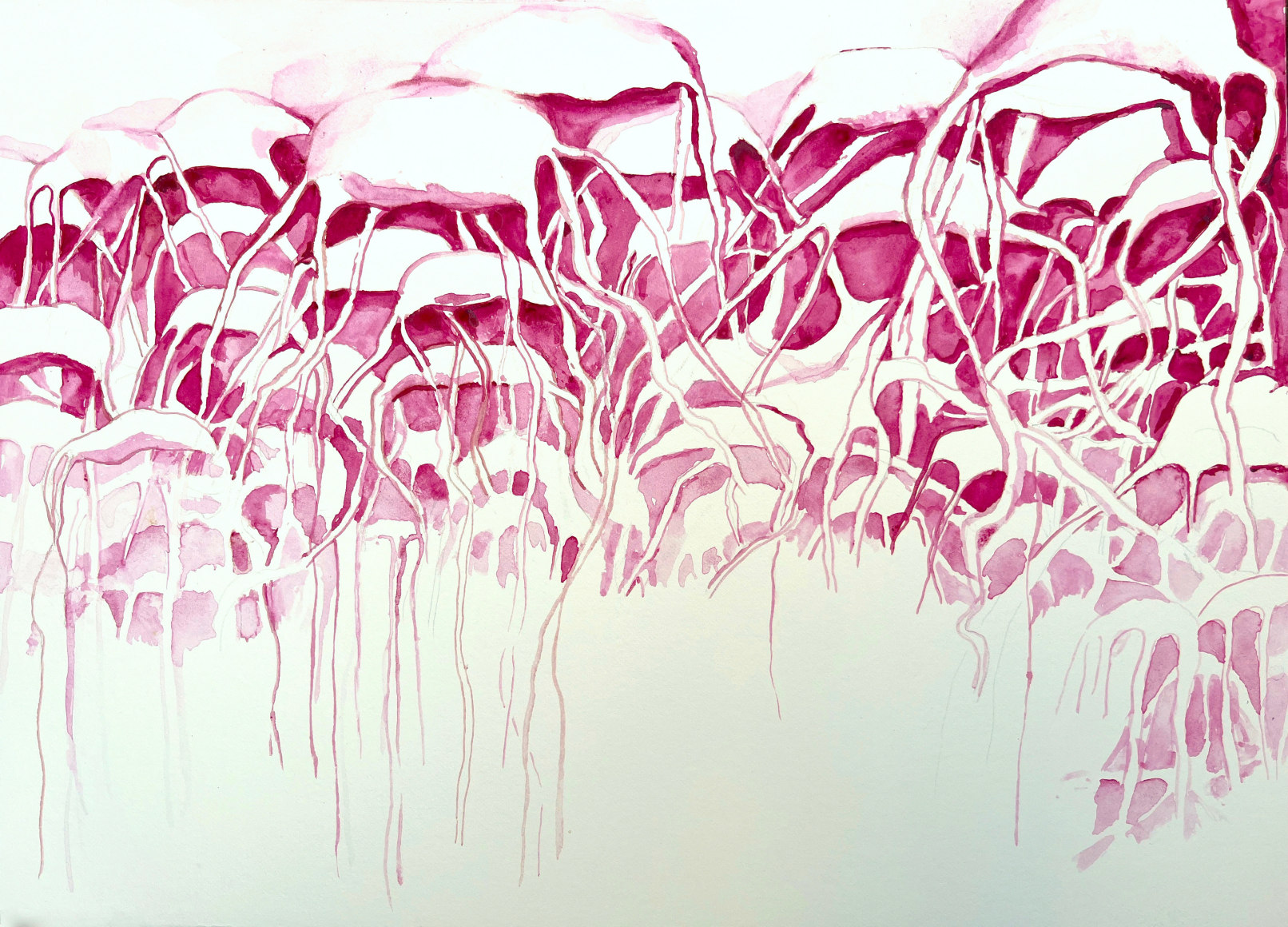 Michal Gavish, Porous Colonies Field Guide (Meduza Cells)