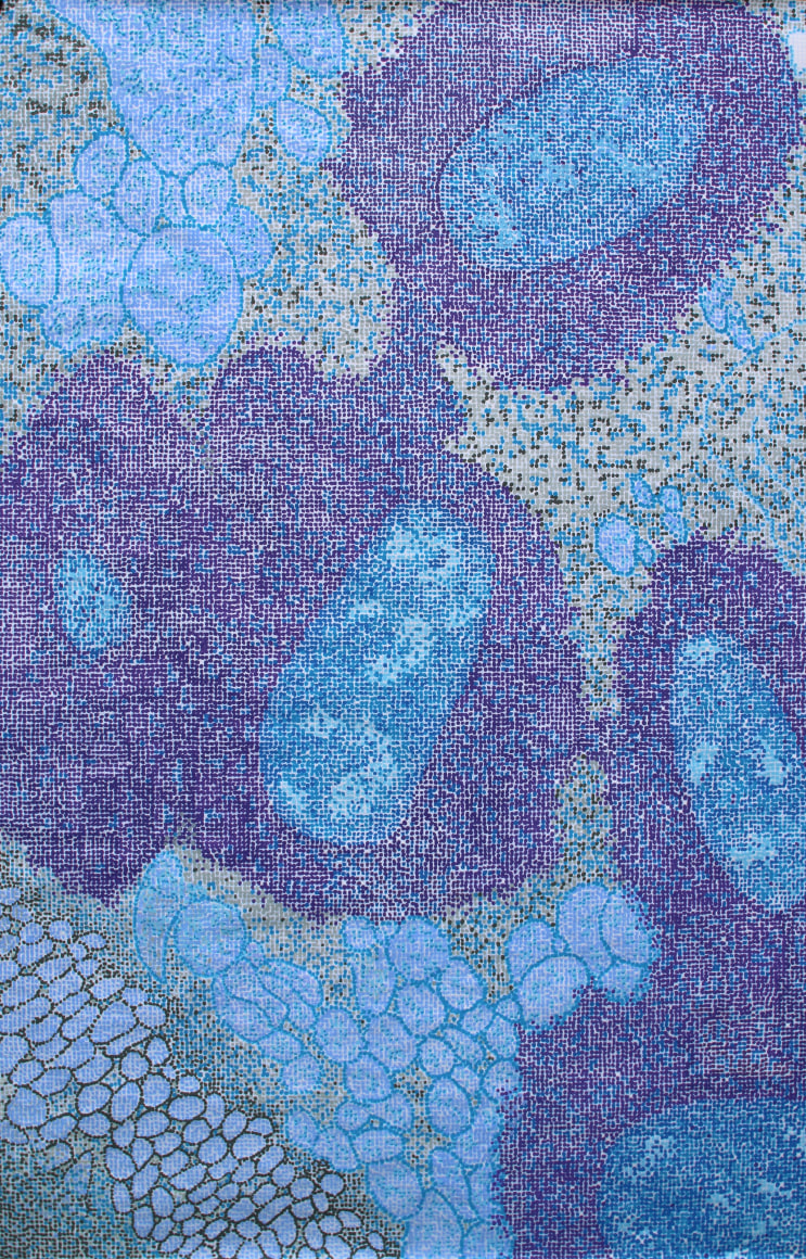 Jody Rasch, Symbiosis - Bacteroidetes