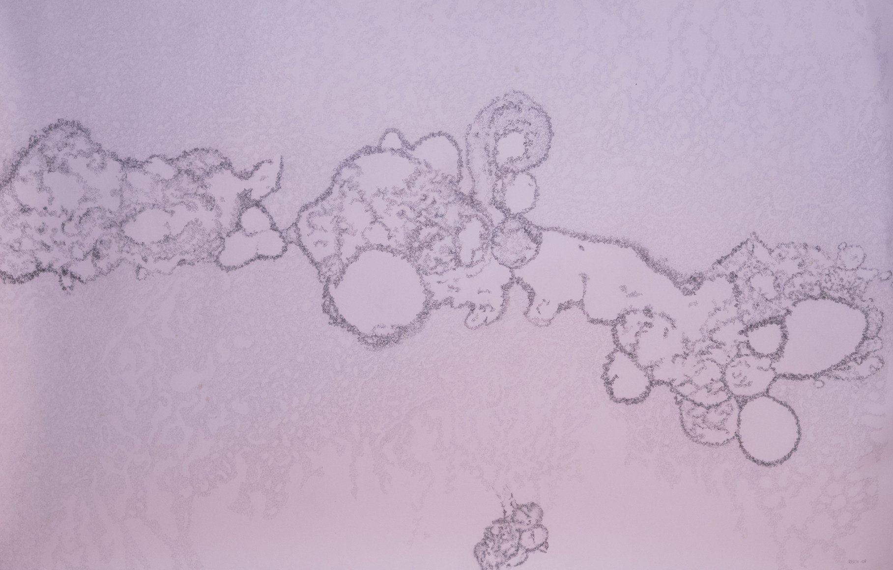 Jody Rasch, Possibilities - Stem Cells