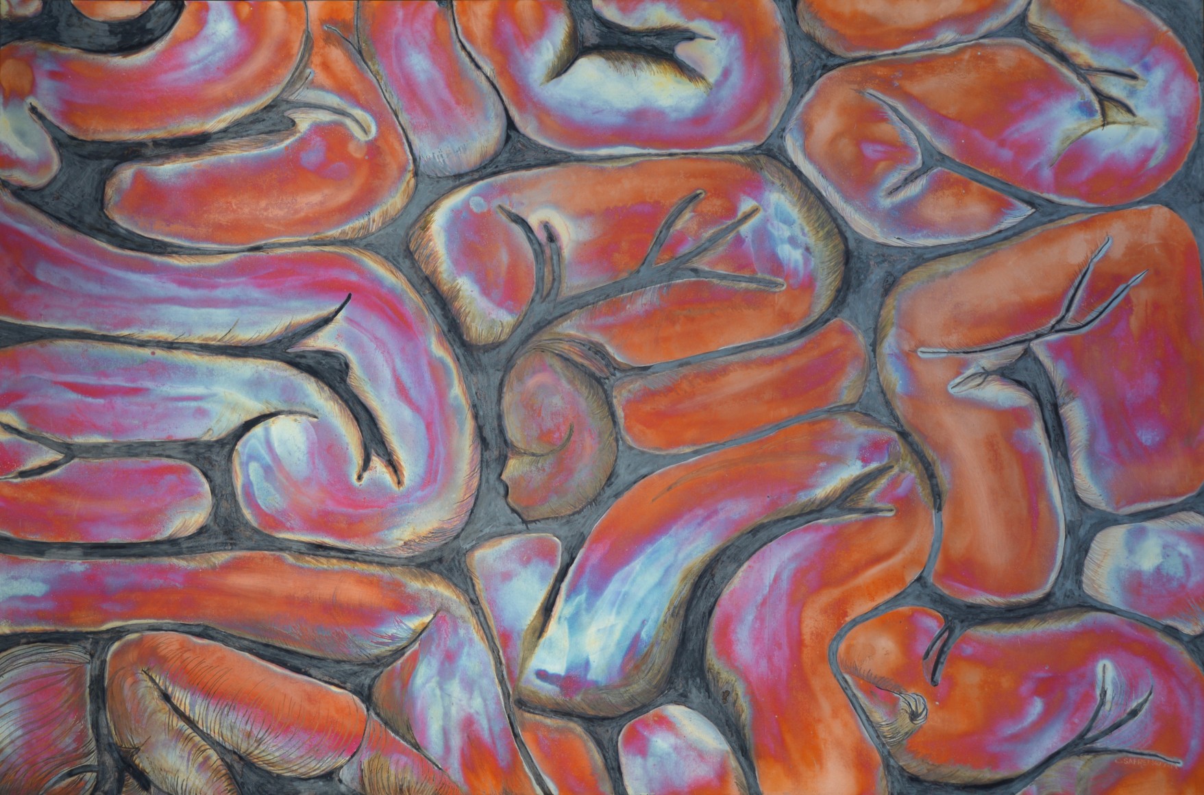 Cheryl Safren, Intestinal