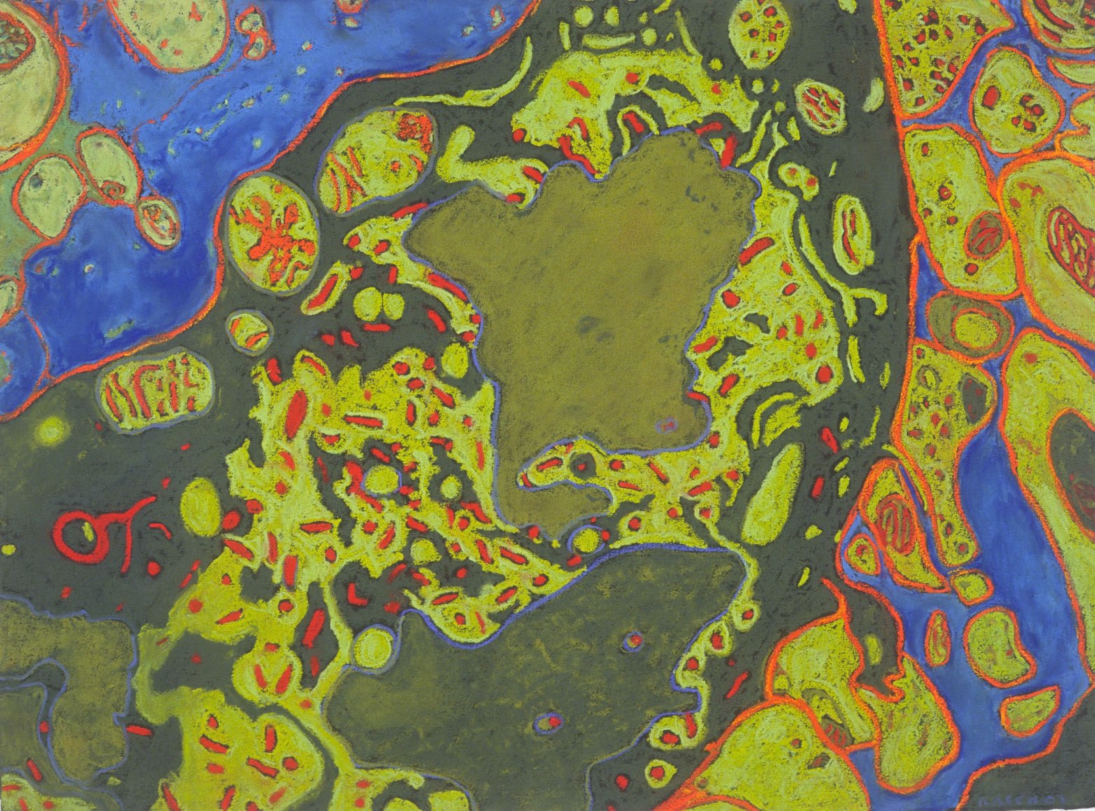 Jody Rasch, Wild - Rabies