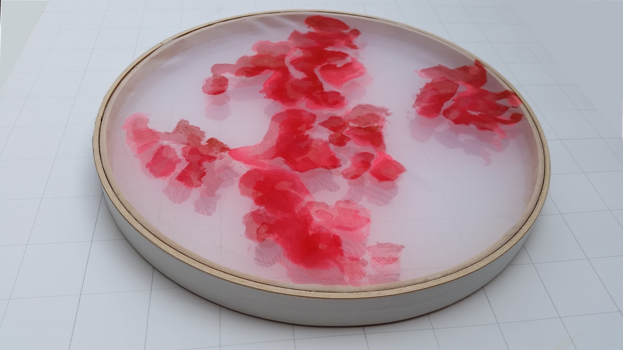 Michal Gavish, Hidden Microscopy