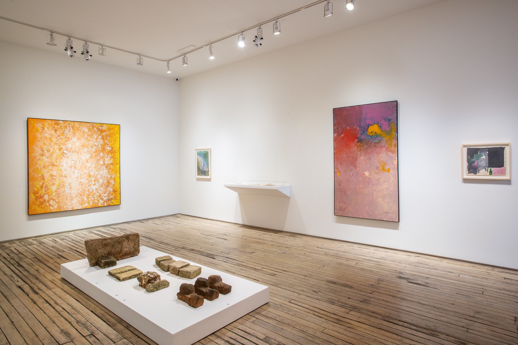 Beverly Buchanan: Northern Walls and Southern Yards