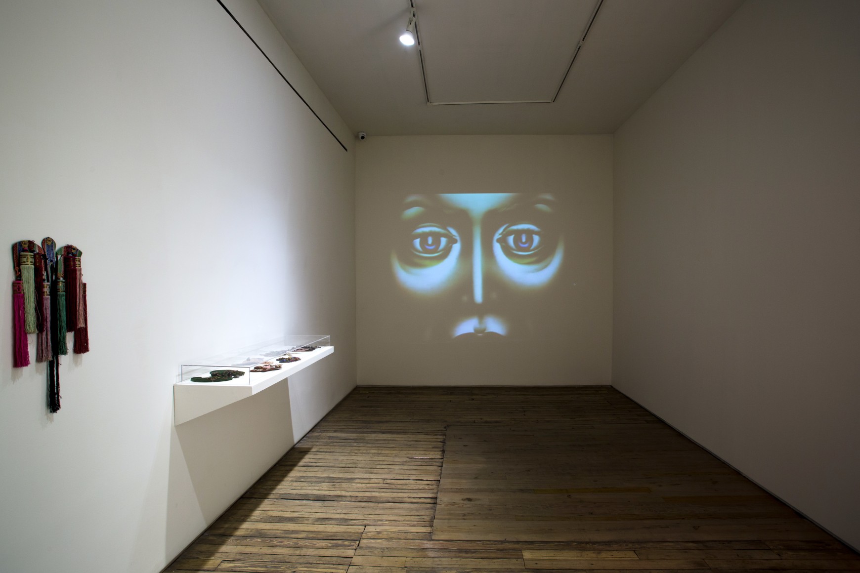 Paulina Peavy/Lacamo: They Call us Unidentified