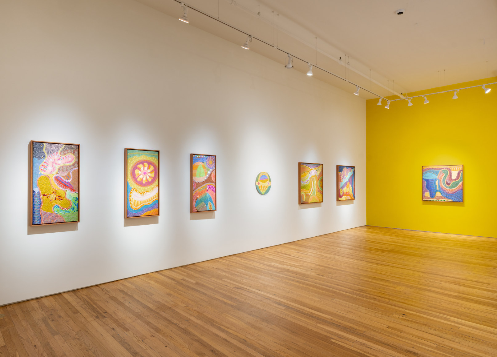 Domenico Zindato: On the Dotted Line