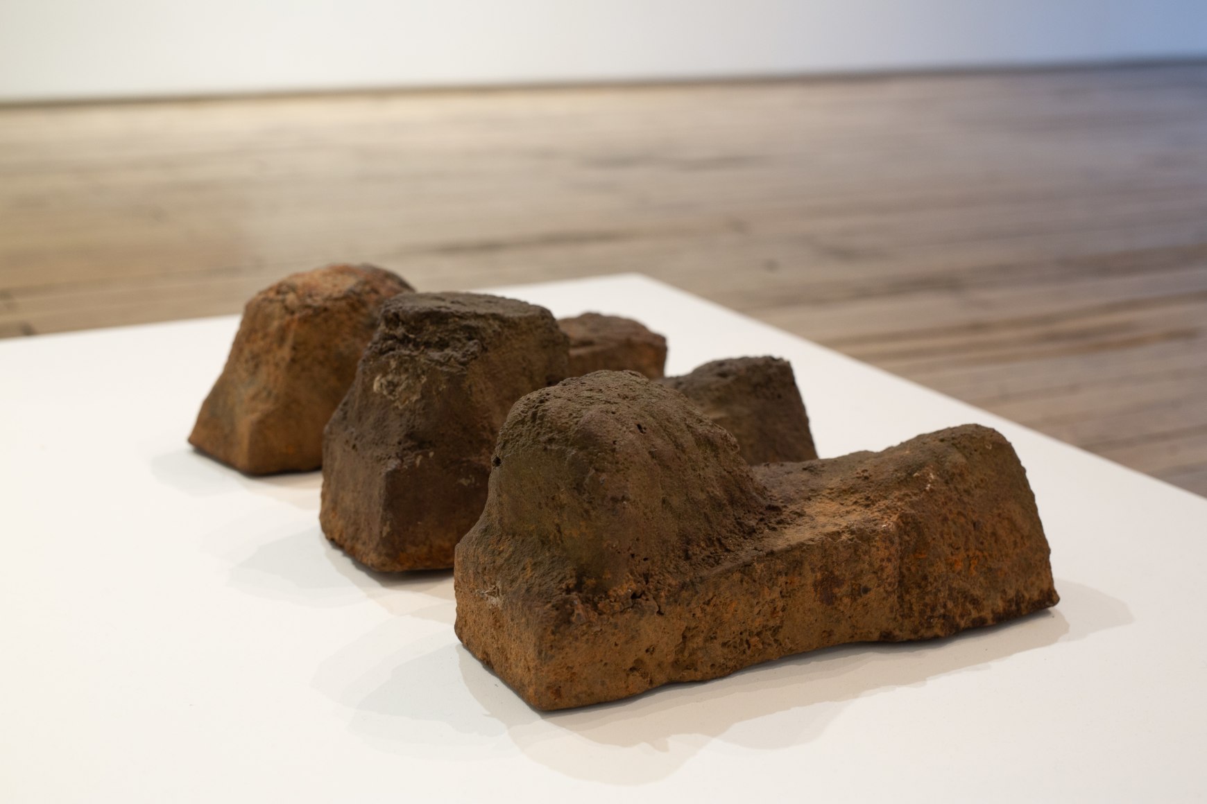 Beverly Buchanan: Northern Walls and Southern Yards