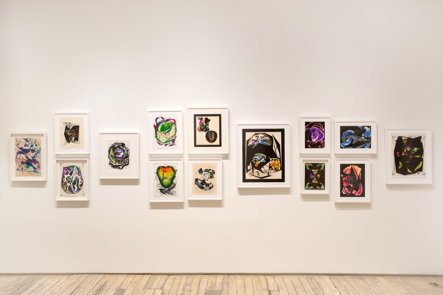 Paulina Peavy/Lacamo: They Call us Unidentified