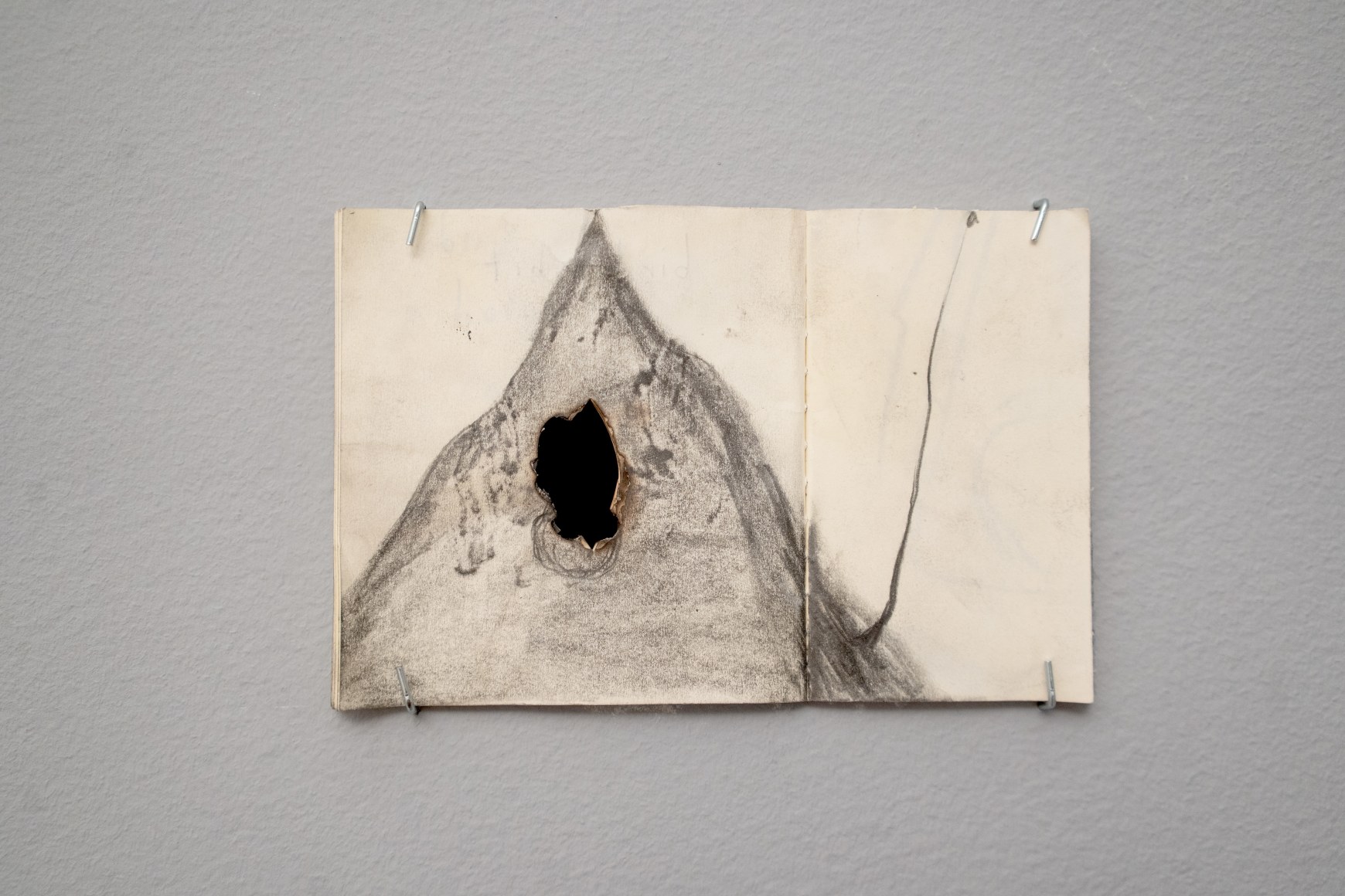 Terence Koh: Starting Now