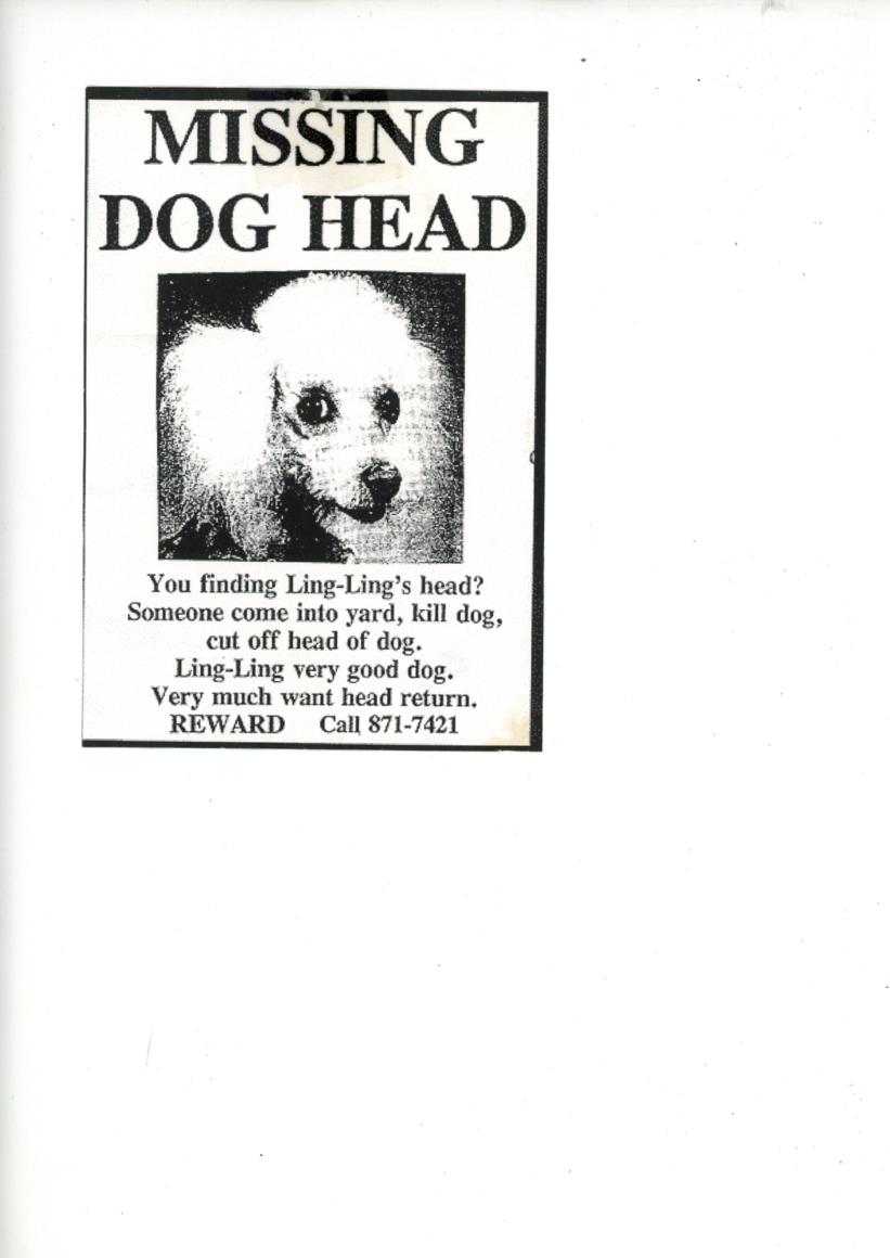 Are You Free on Saturday from 4-7 PM?