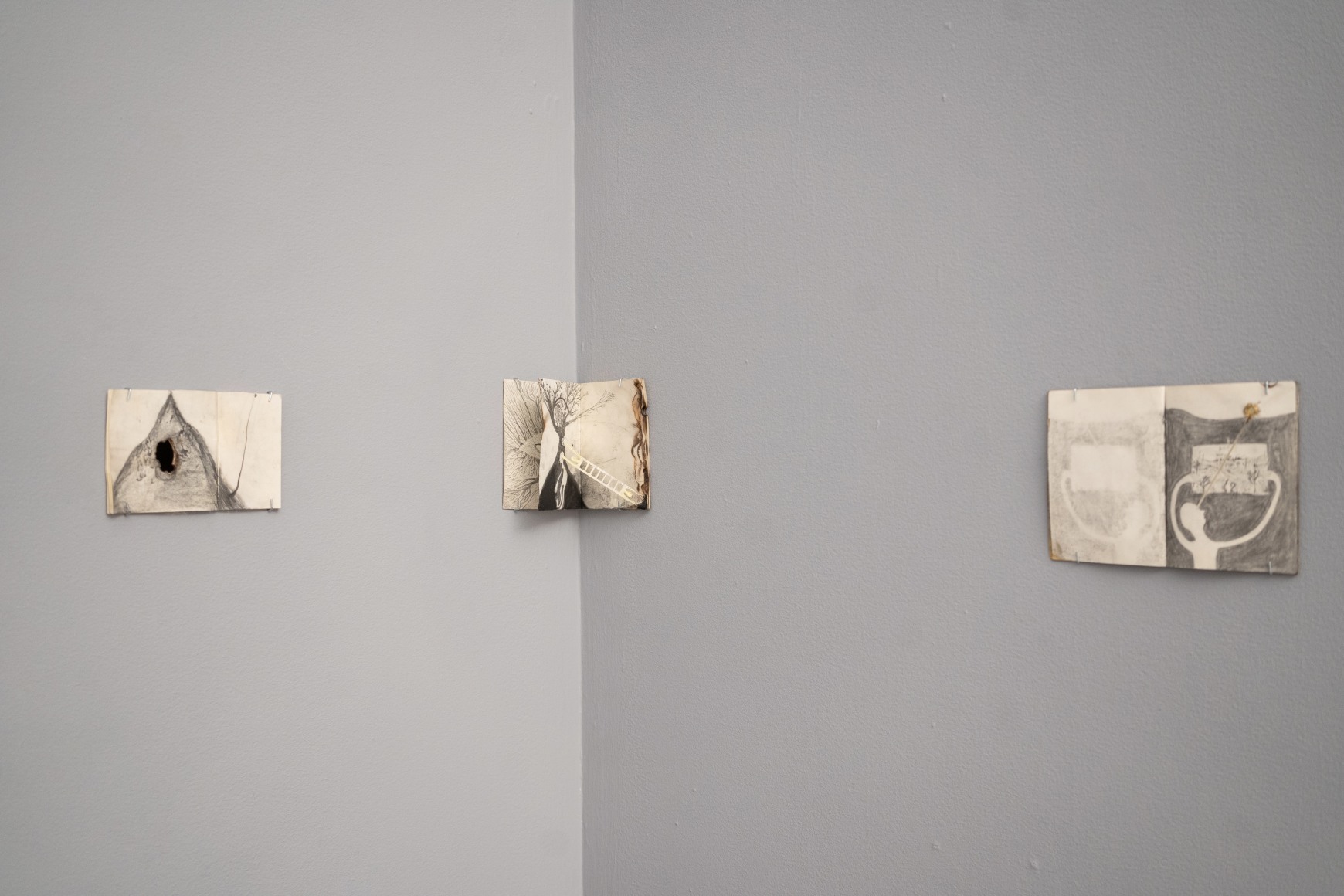 Terence Koh: Starting Now