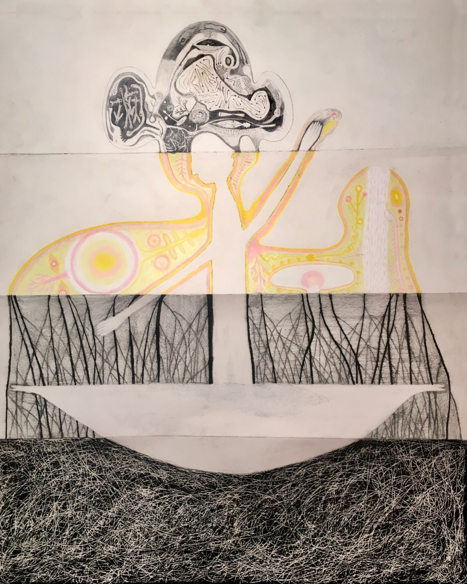 Untitled, 2020 Charcoal, graphite, oil pastel, artist finger oils on drawing paper